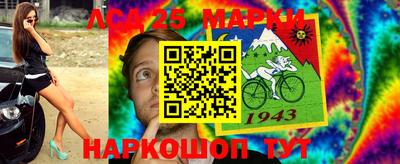 тгк Новодвинск