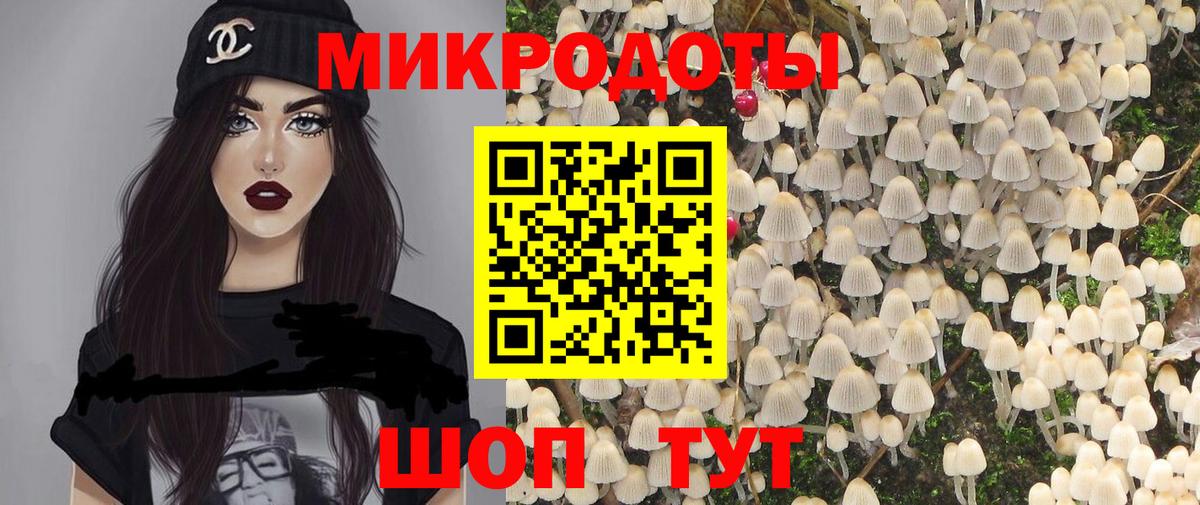Ставрополь  Псилоцибиновые грибы Psilocybine cubensis  Вход с VPN 